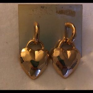 Alex Carol Gold Earrings